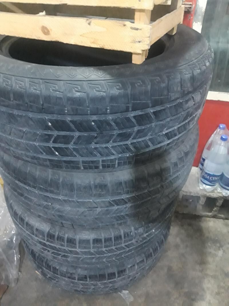 18 yagdayy gowy 1 700 TMT - Aşgabat - img 3