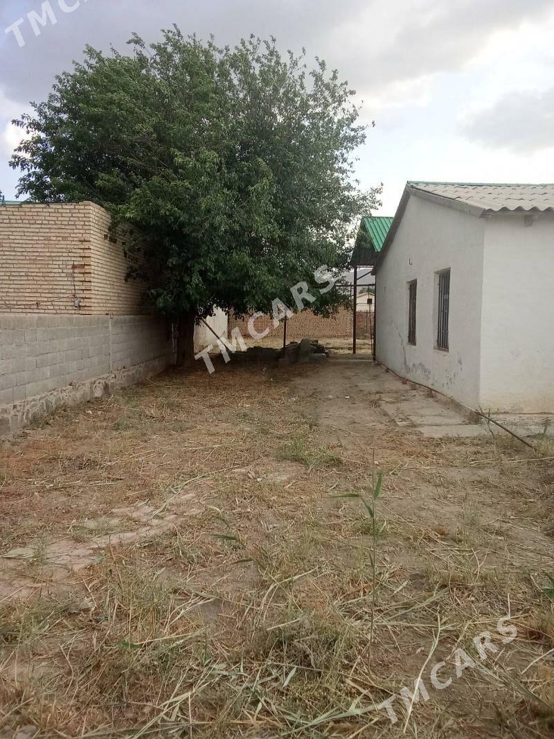 Balkan welayat Bereket. - Берекет - img 3