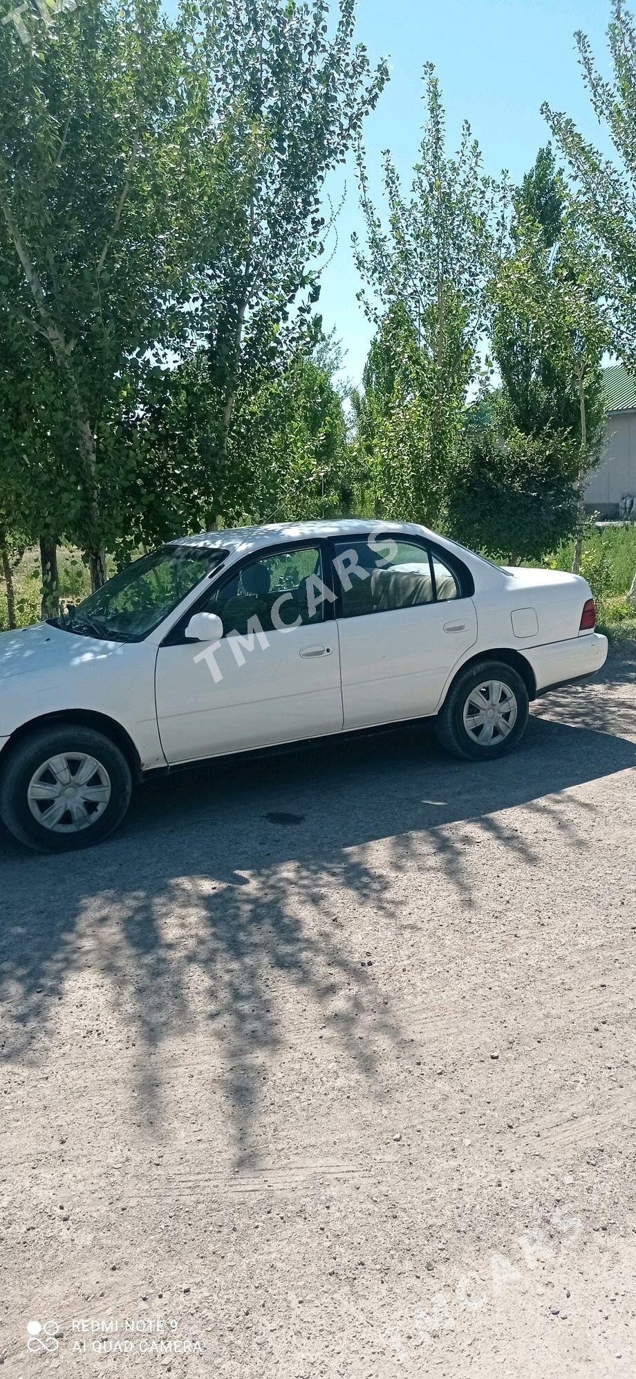 Toyota Corolla 1995 - 65 000 TMT - Гороглы (Тагта) - img 2