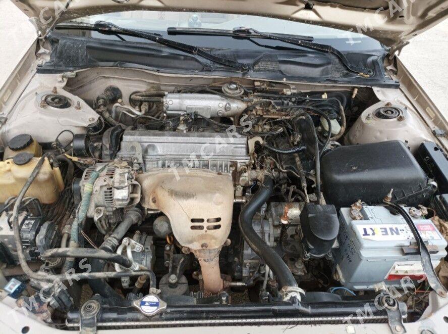 Toyota Camry 1997 - 110 000 TMT - Туркменабат - img 5