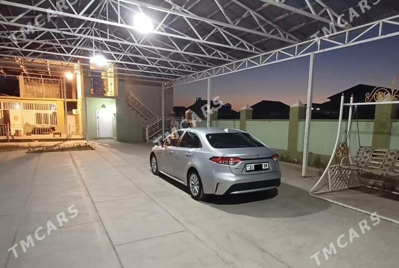 Toyota Corolla 2022 - 259 000 TMT - Balkanabat - img 9