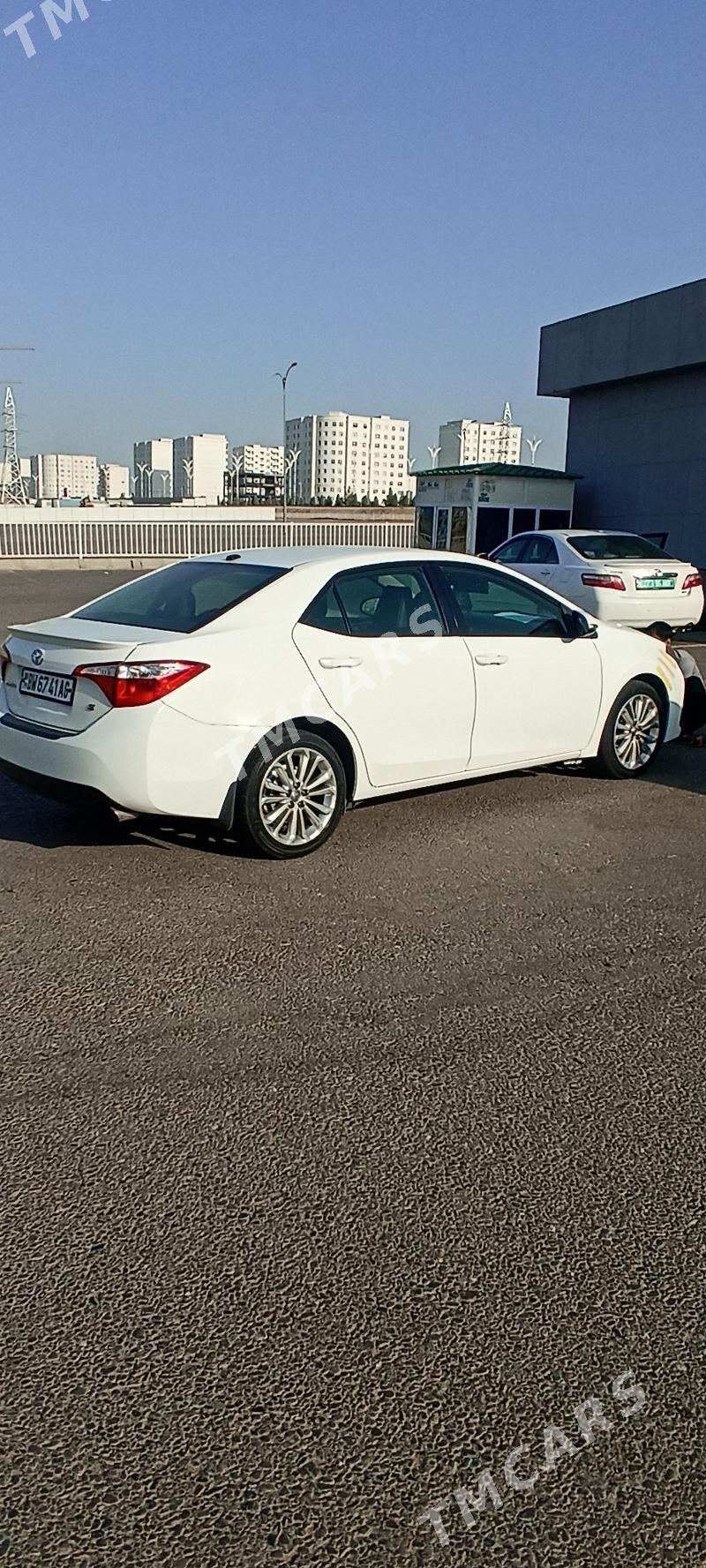 Toyota Corolla 2016 - 210 000 TMT - Parahat 2 - img 4