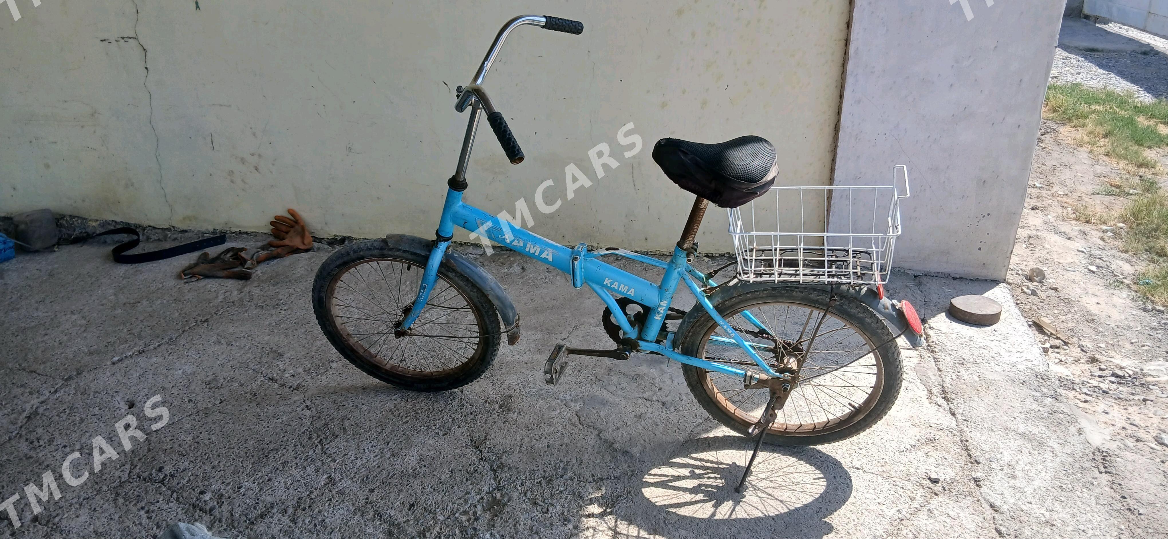 kama,tigir - Ruhabat (90-njy razýezd) - img 2