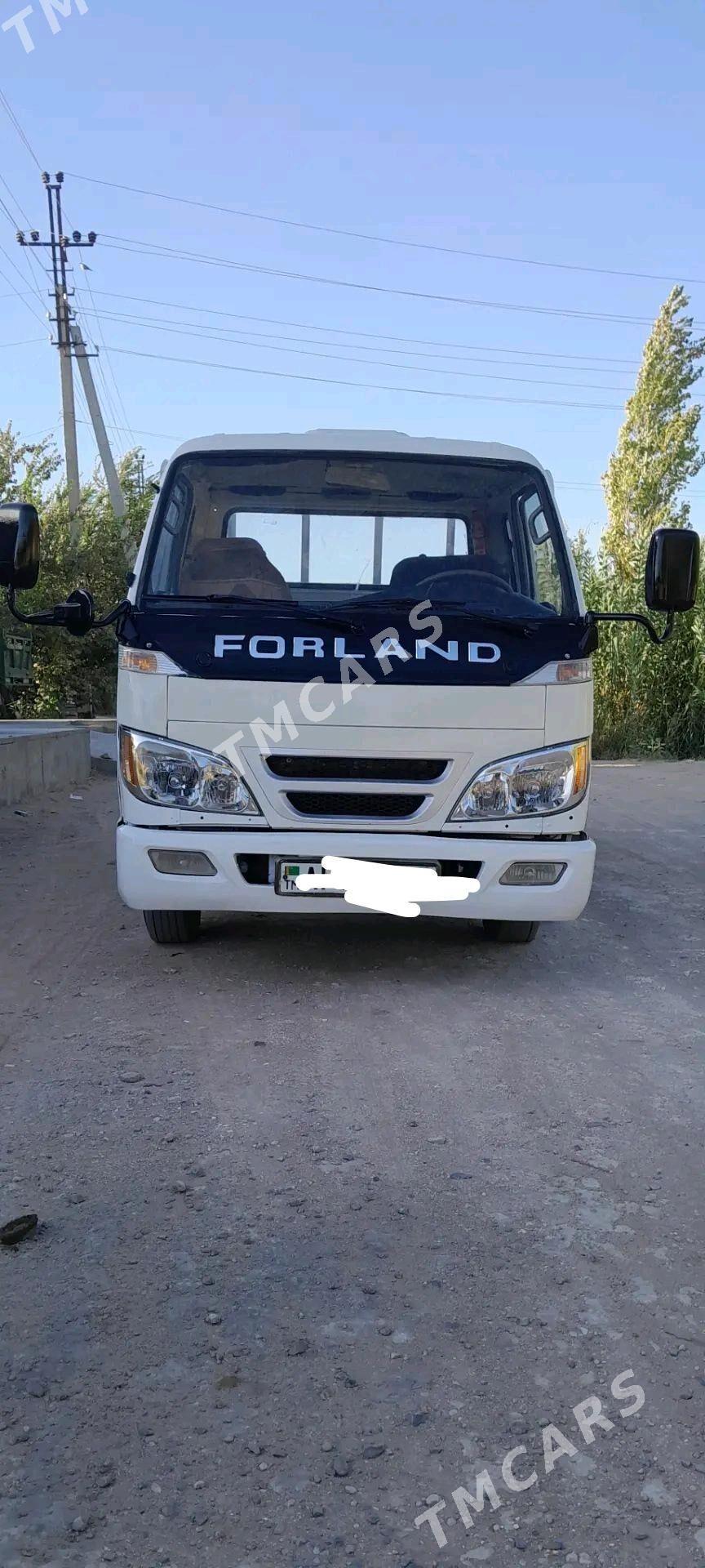 Forland H3 2009 - 80 000 TMT - Mary - img 2