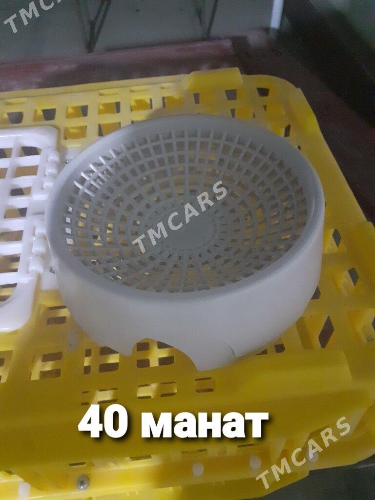 kepderi poyilka gnezdo - Mary - img 3