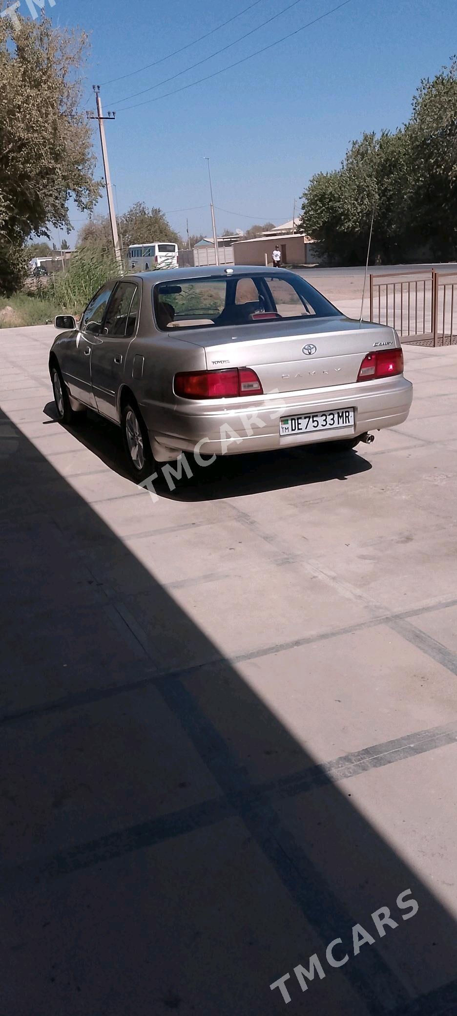 Toyota Camry 1995 - 93 000 TMT - Sakarçäge - img 3