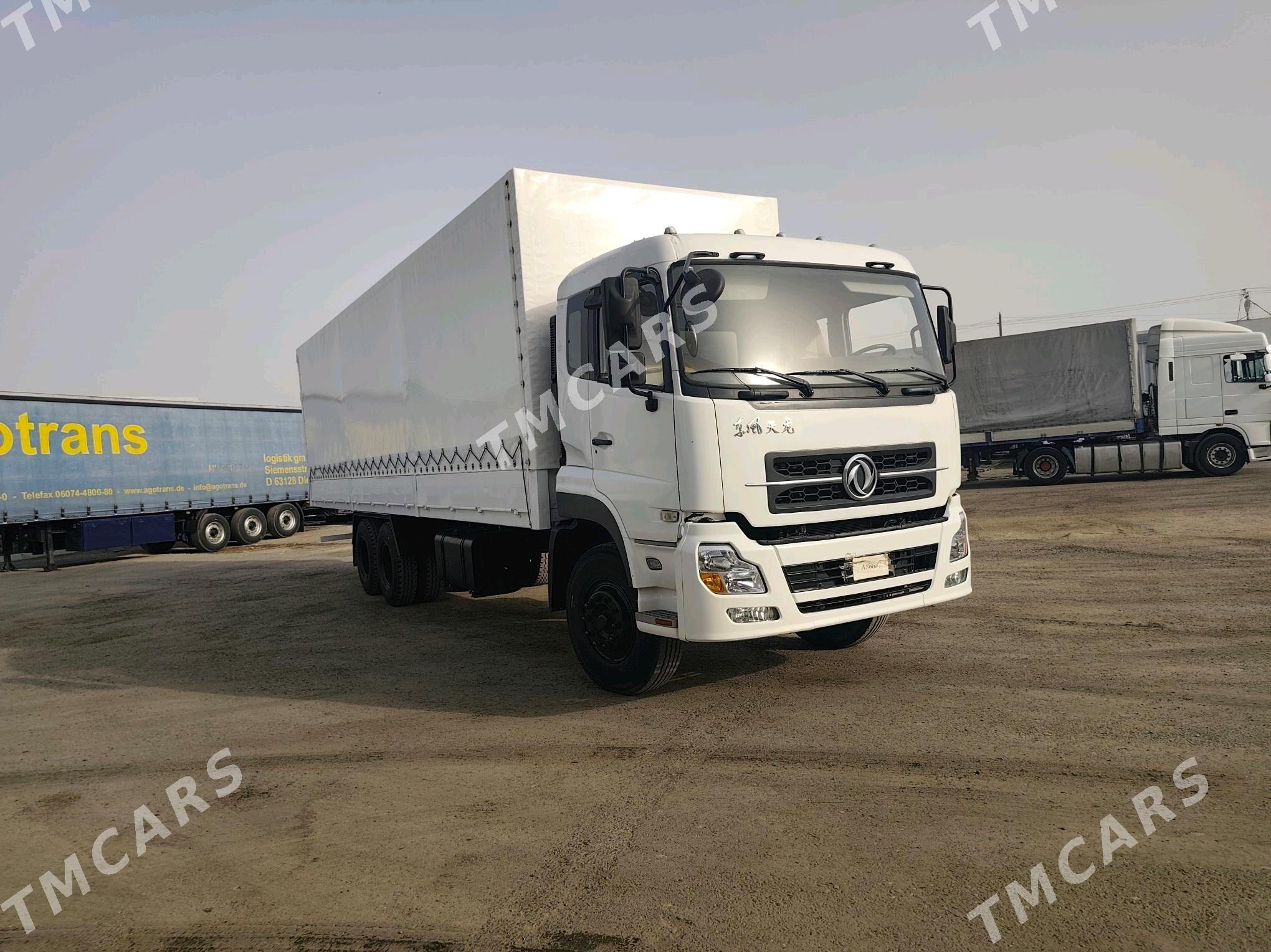 Man TGE 2024 - 900 000 TMT - Mary - img 2