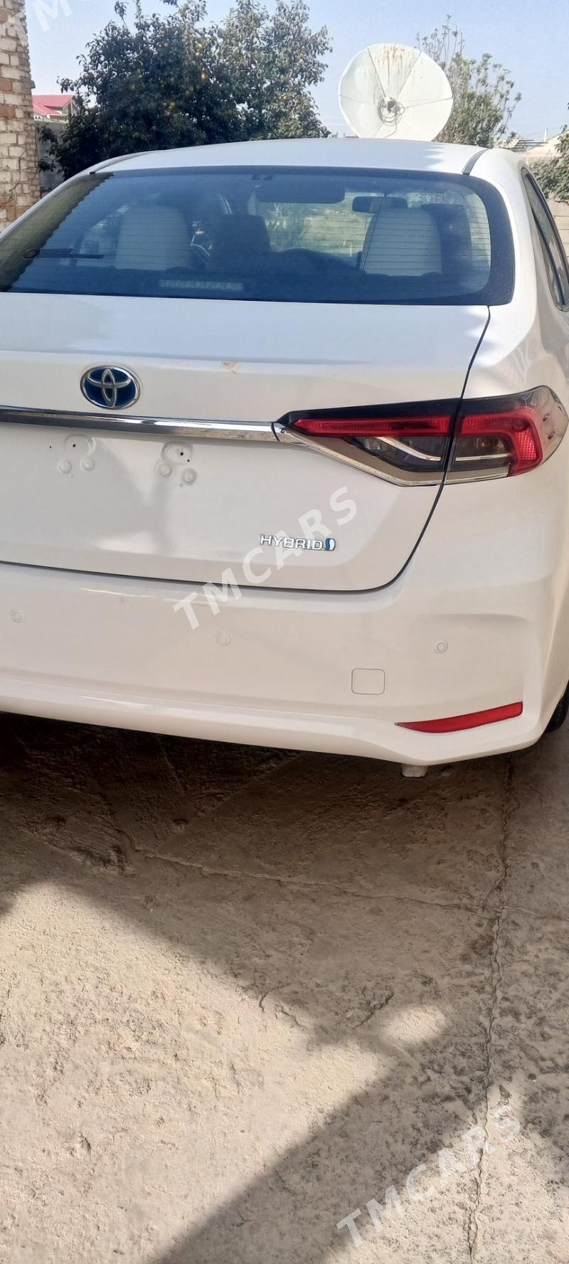 Toyota Corolla 2022 - 235 000 TMT - Aşgabat - img 2