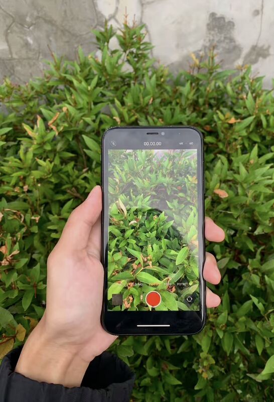 iPhone Xr  - 30 мкр - img 5