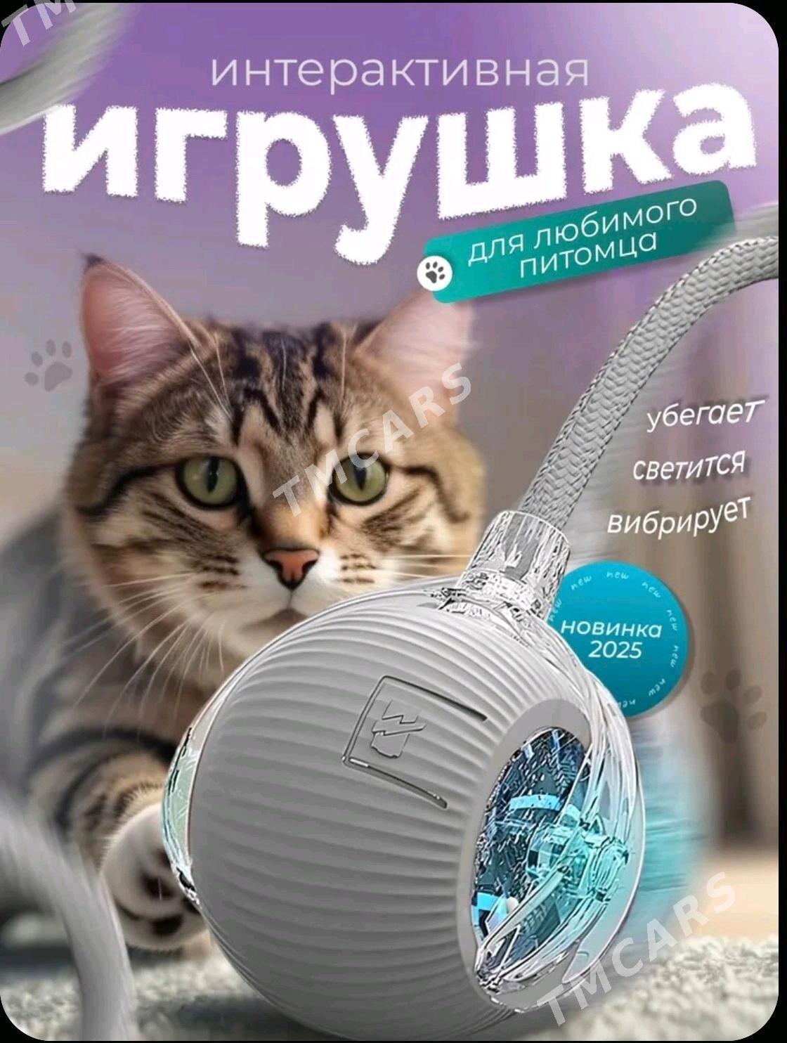 Интерактивная игрушка кошек - Туркменабат - img 2