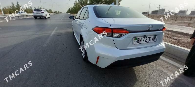 Toyota Corolla 2023 - 241 000 TMT - Анев - img 3
