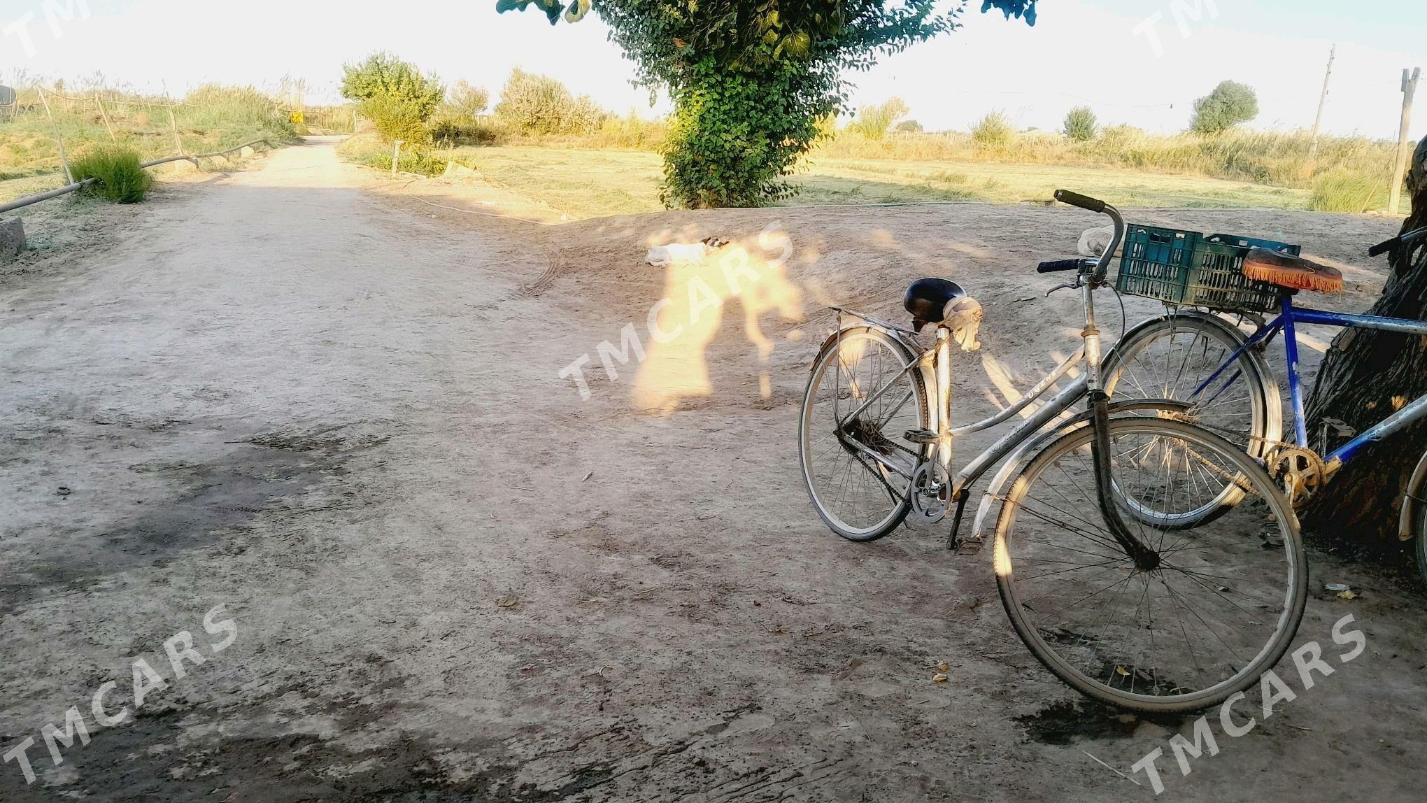 satlyk mellek jay - Garabekewül - img 2