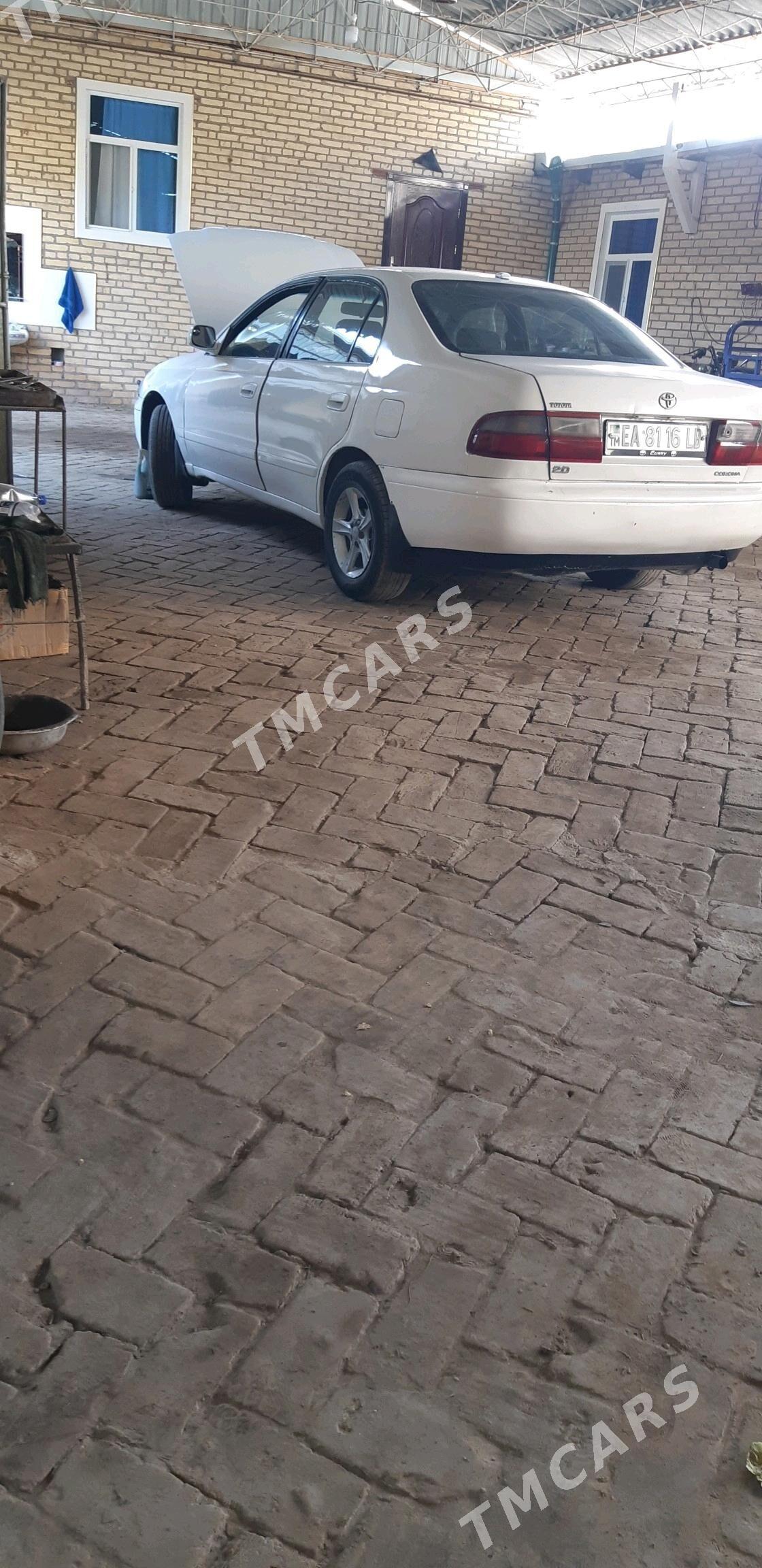 Toyota Corona 1993 - 46 000 TMT - Halaç - img 7