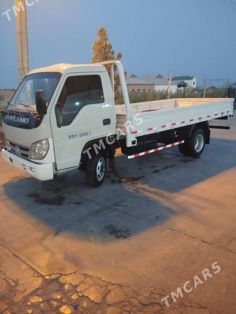 Forland H3 2009 - 88 000 TMT - Mary - img 2
