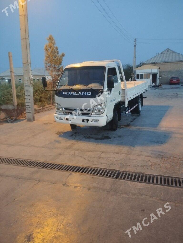 Forland H3 2009 - 88 000 TMT - Mary - img 3
