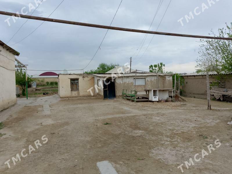 12 SOTUK SATLYK MELLEK - Wekilbazar - img 3
