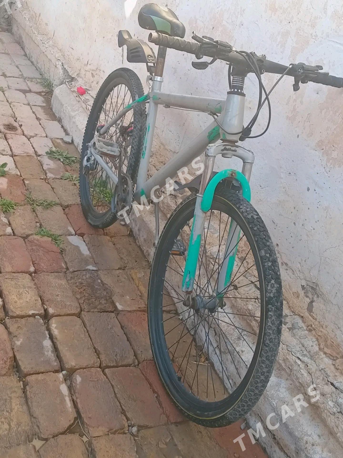 welisopet - Türkmenabat - img 2