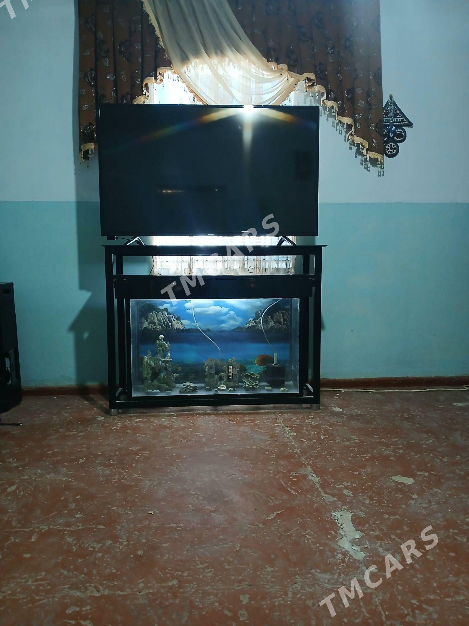 Akwarium - Balkanabat - img 2