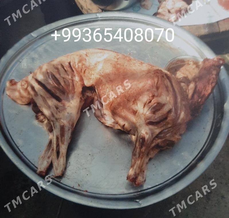 TOÝ HYZMATLARY  GÖÇME TAMDYR HYZMATY Palow Tamdyrlama - Ашхабад - img 7