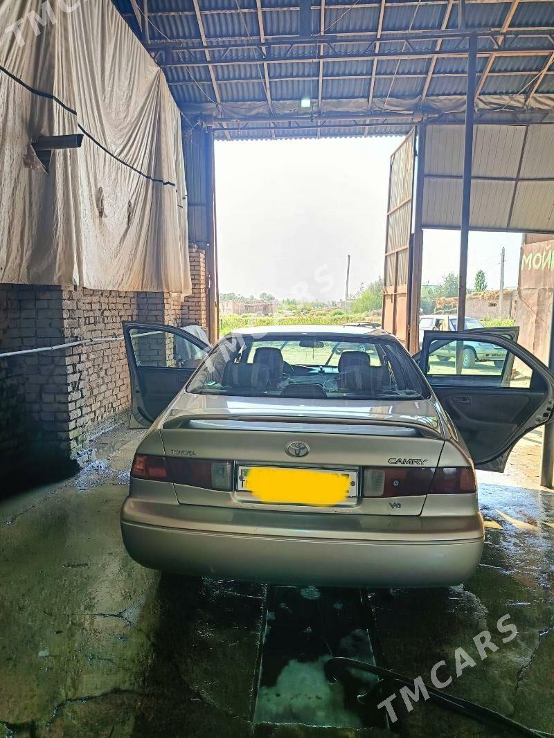 Toyota Camry 2001 - 132 000 TMT - Köneürgenç - img 3