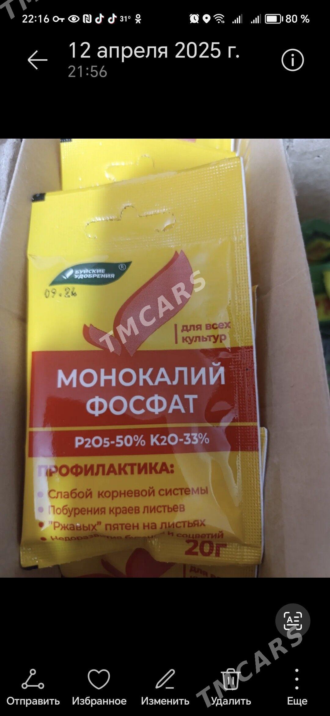 домашние цветы - Ашхабад - img 2