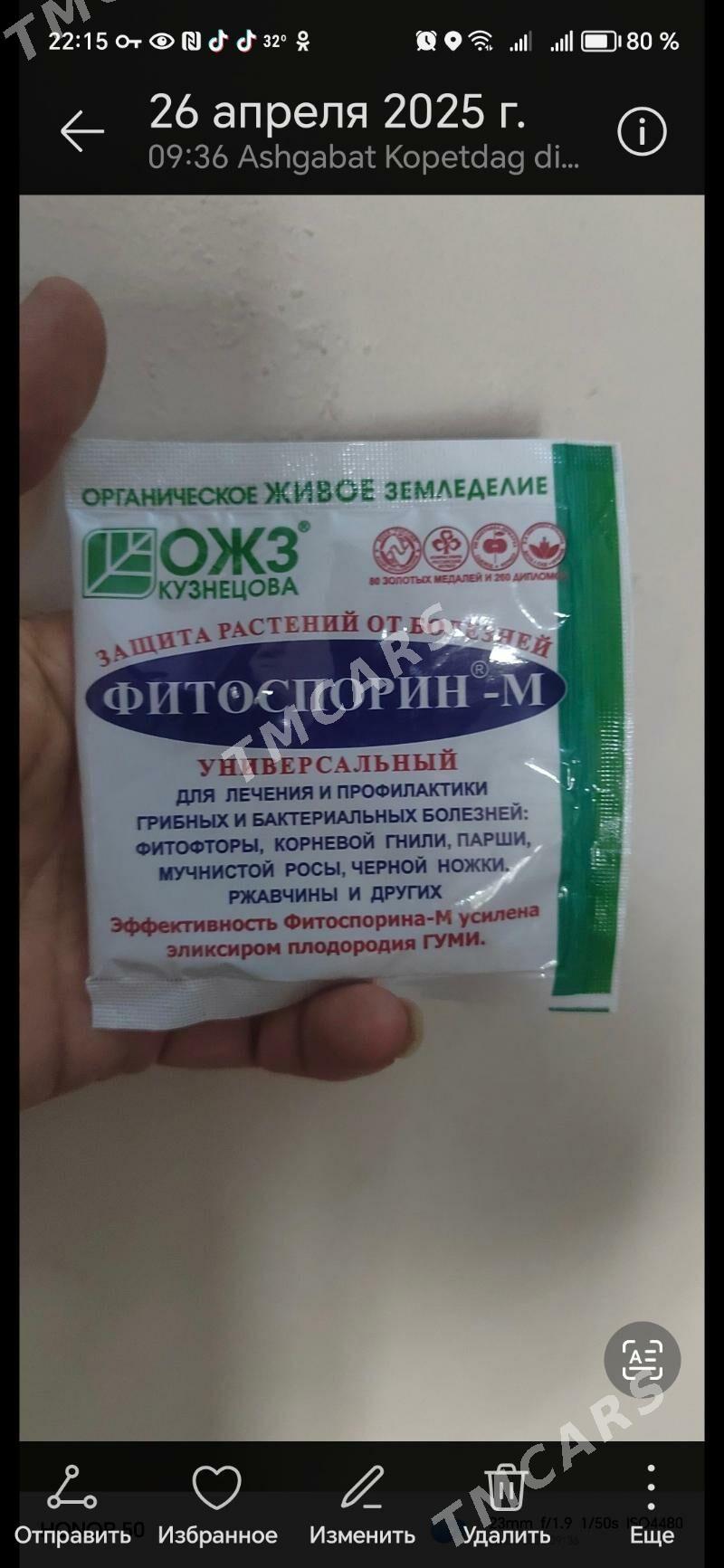 домашние цветы - Ашхабад - img 7