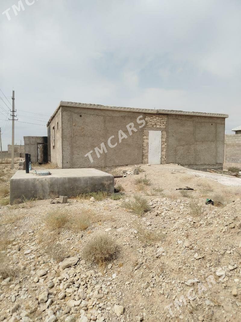 Satlyk jay - Balkanabat - img 10