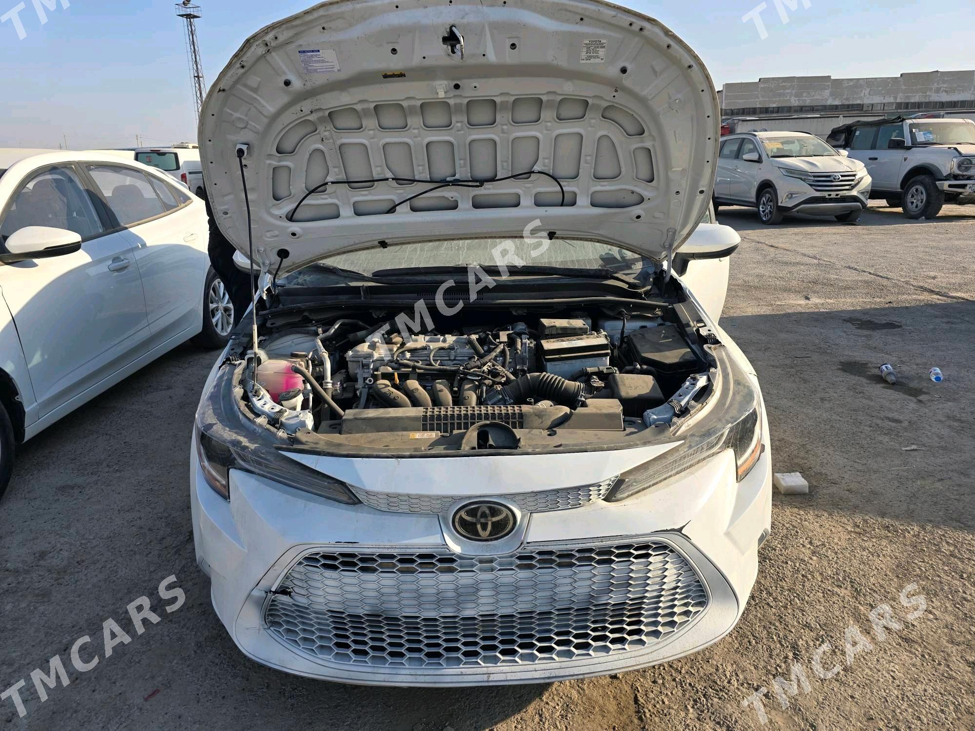 Toyota Corolla 2022 - 221 500 TMT - Mary - img 6