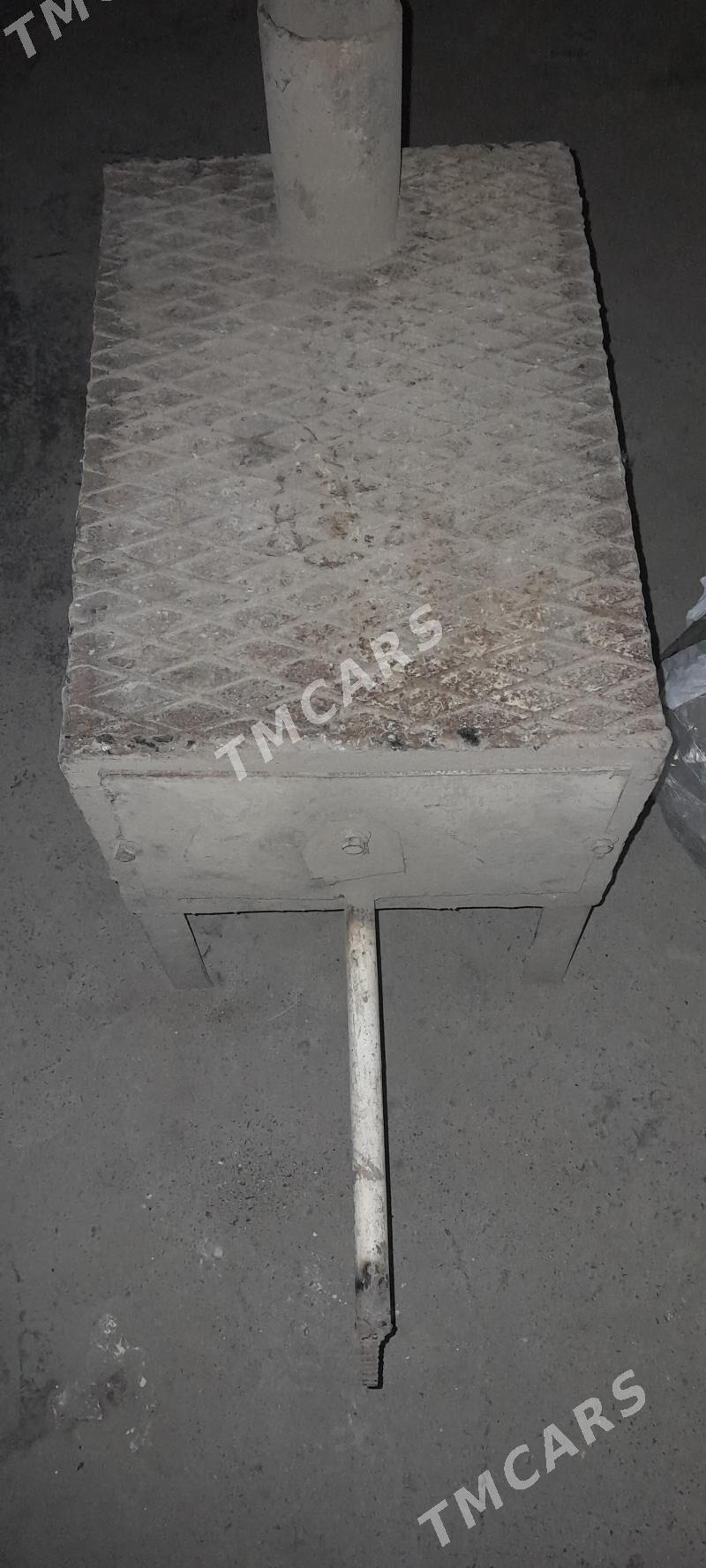 pec - Mary - img 2