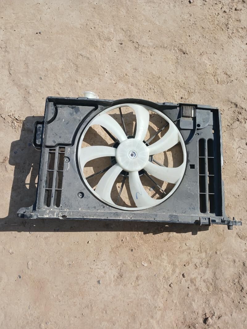 lopus divisor 550 TMT - Mary - img 2