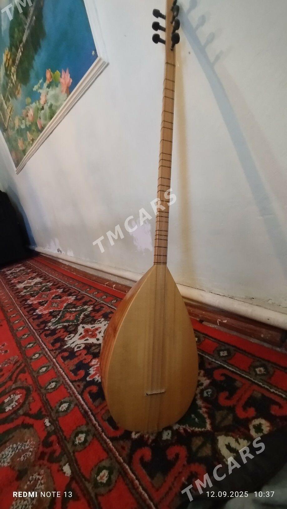 Baglama - Daşoguz - img 3