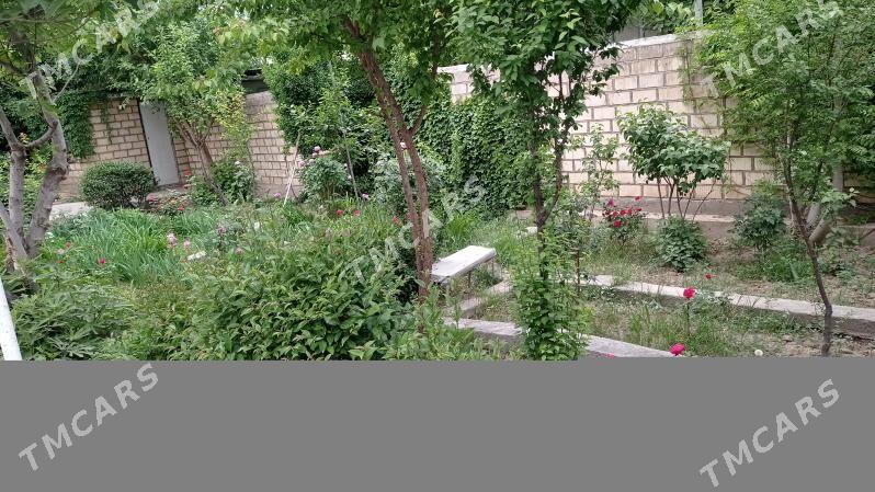 продаю плановый дом - Ашхабад - img 10
