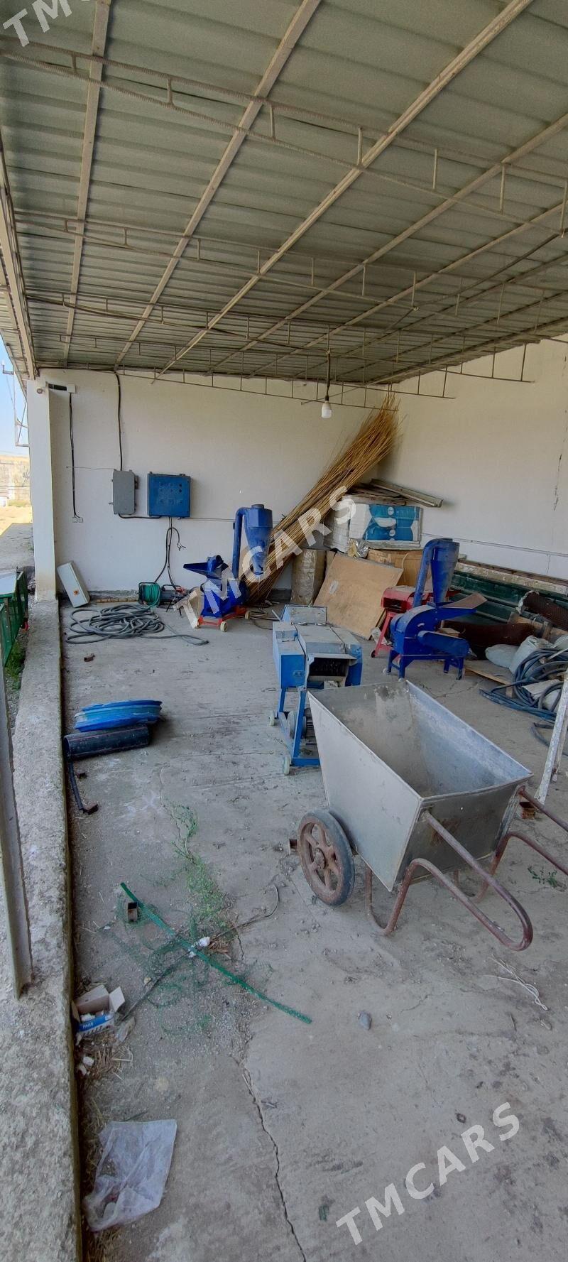 mal yatak ferma towuk juyje - Ашхабад - img 4
