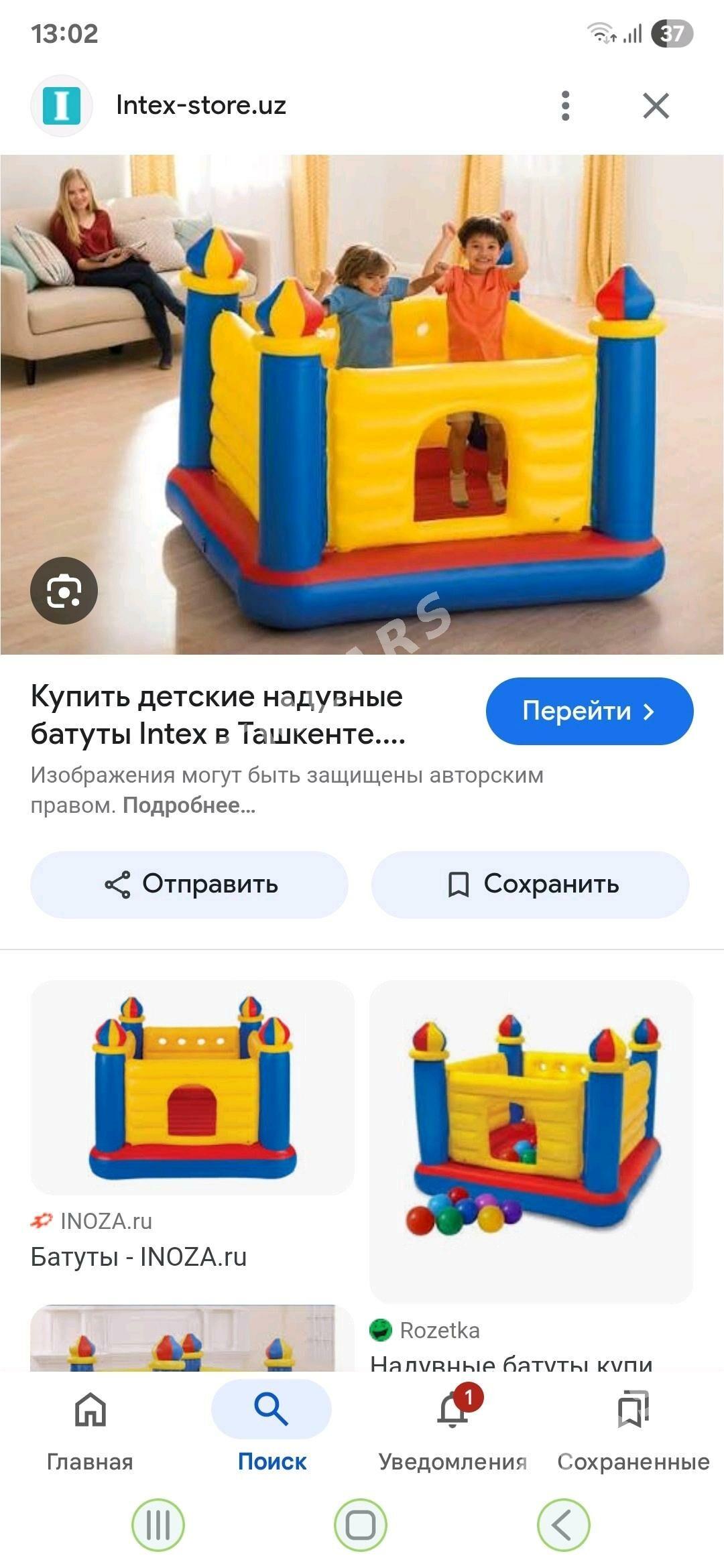 Батут - Бузмеин ГРЭС - img 2