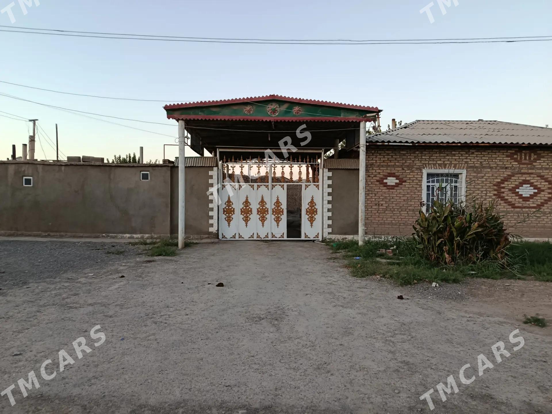 Tejen Kerpişni jay satlyk - Теджен - img 7
