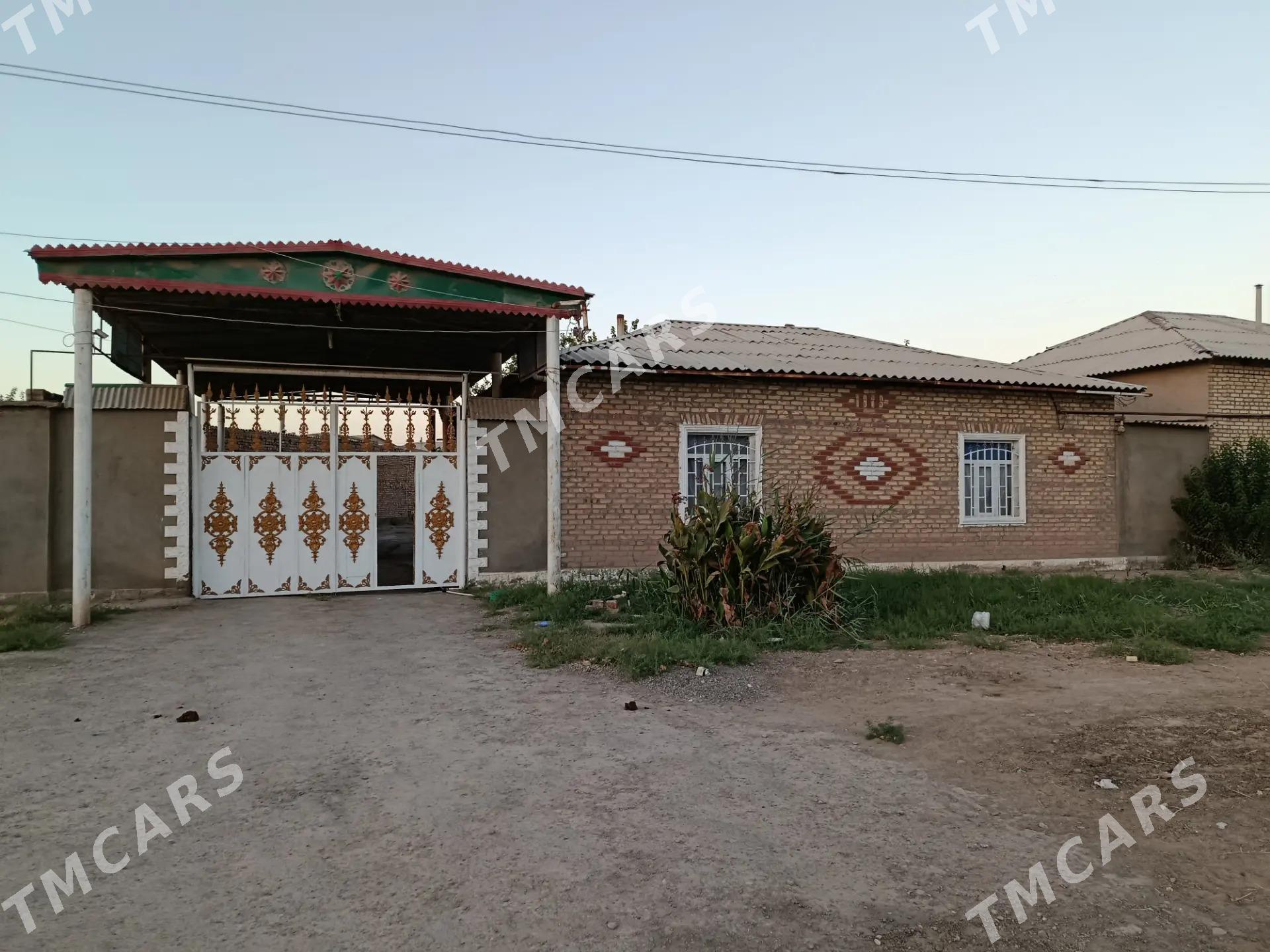 Tejen Kerpişni jay satlyk - Теджен - img 5
