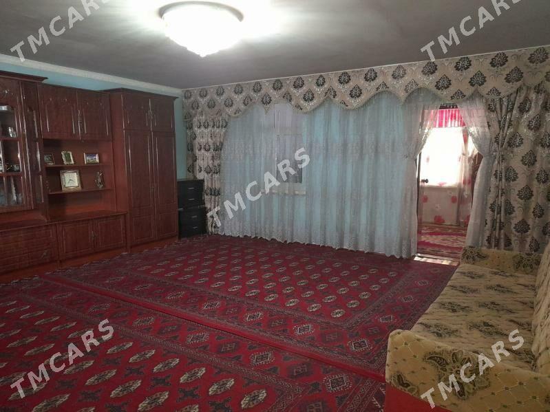 satlyk jay - Kerki - img 3