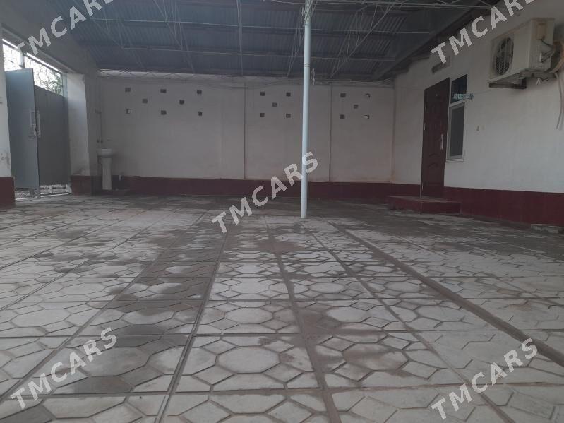 satlyk jay - Kerki - img 7