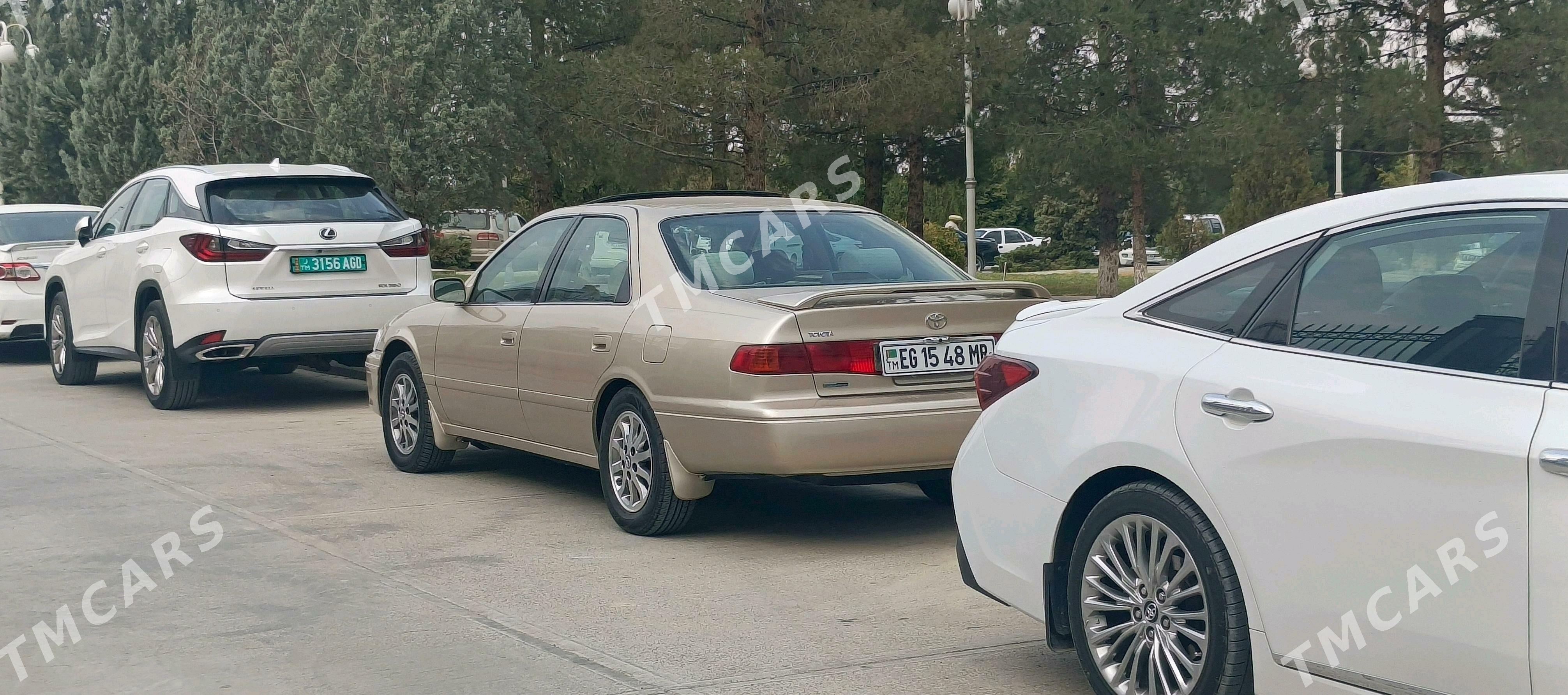 Toyota Camry 2001 - 145 000 TMT - Sakarçäge - img 2