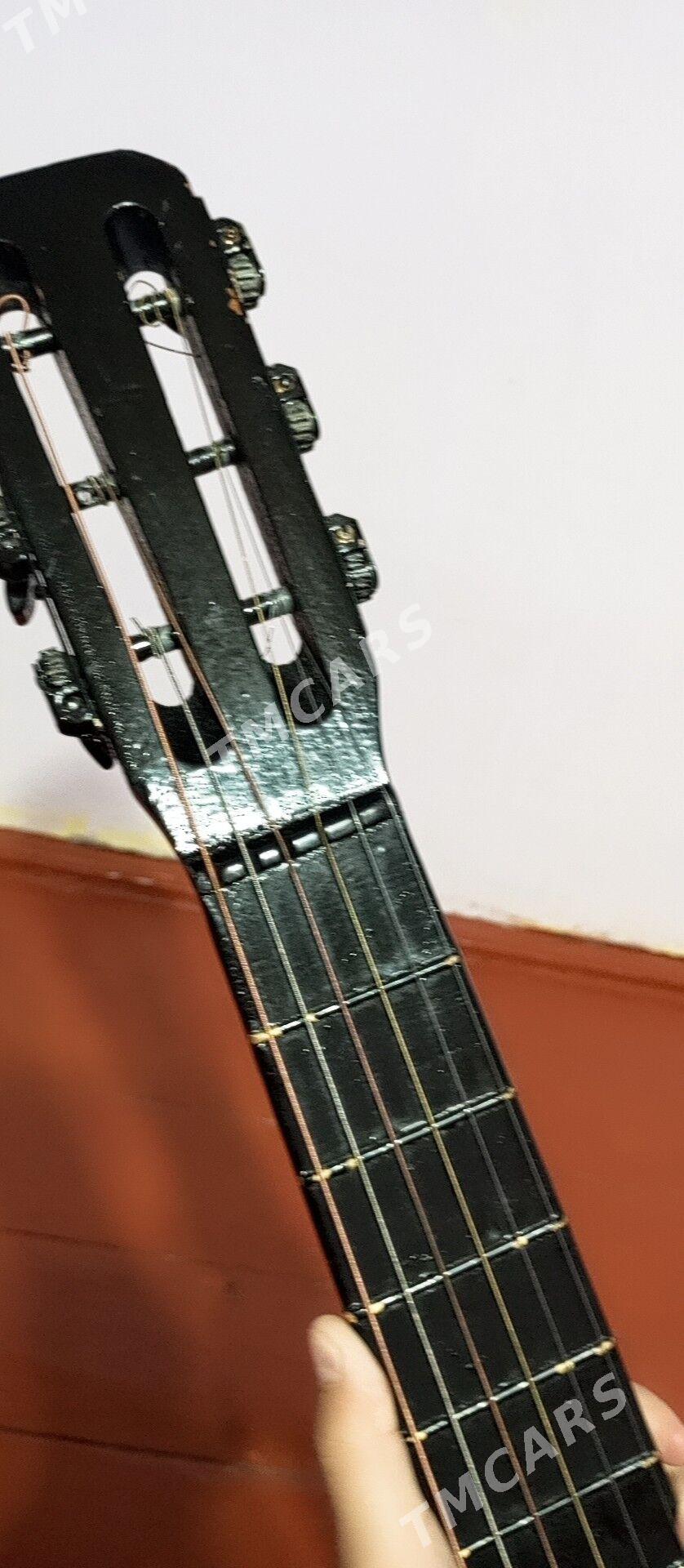 Gitara - Daşoguz - img 4