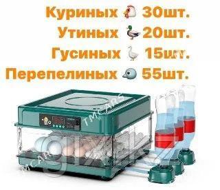 инкутор - Туркменабат - img 2