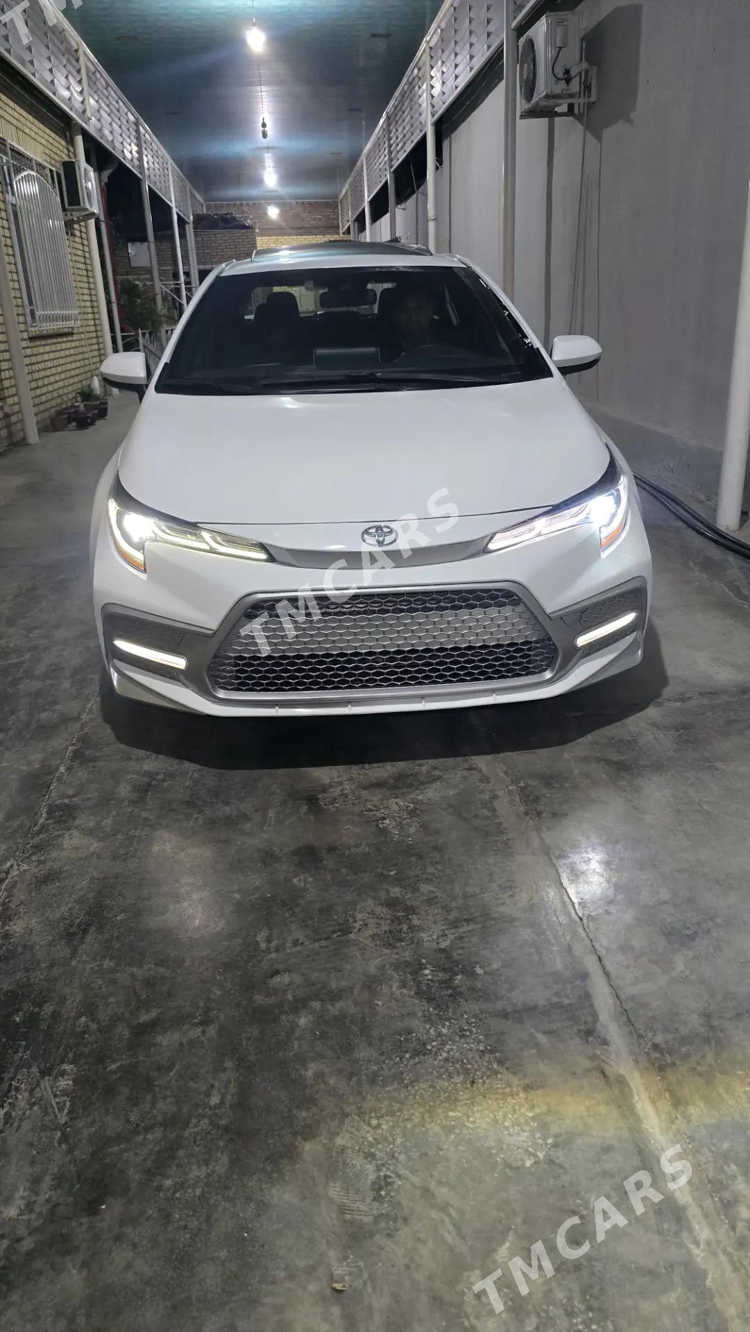 Toyota Corolla 2020 - 330 000 TMT - Mary - img 6