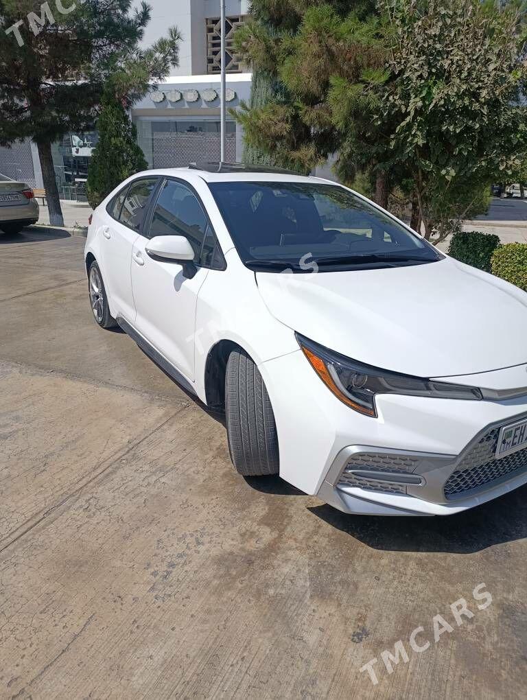 Toyota Corolla 2020 - 330 000 TMT - Mary - img 7