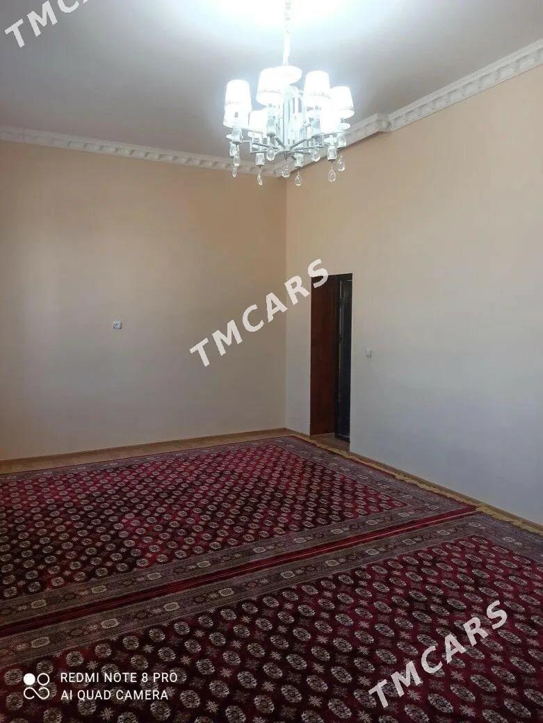 Satlyk jay - Sakar - img 1