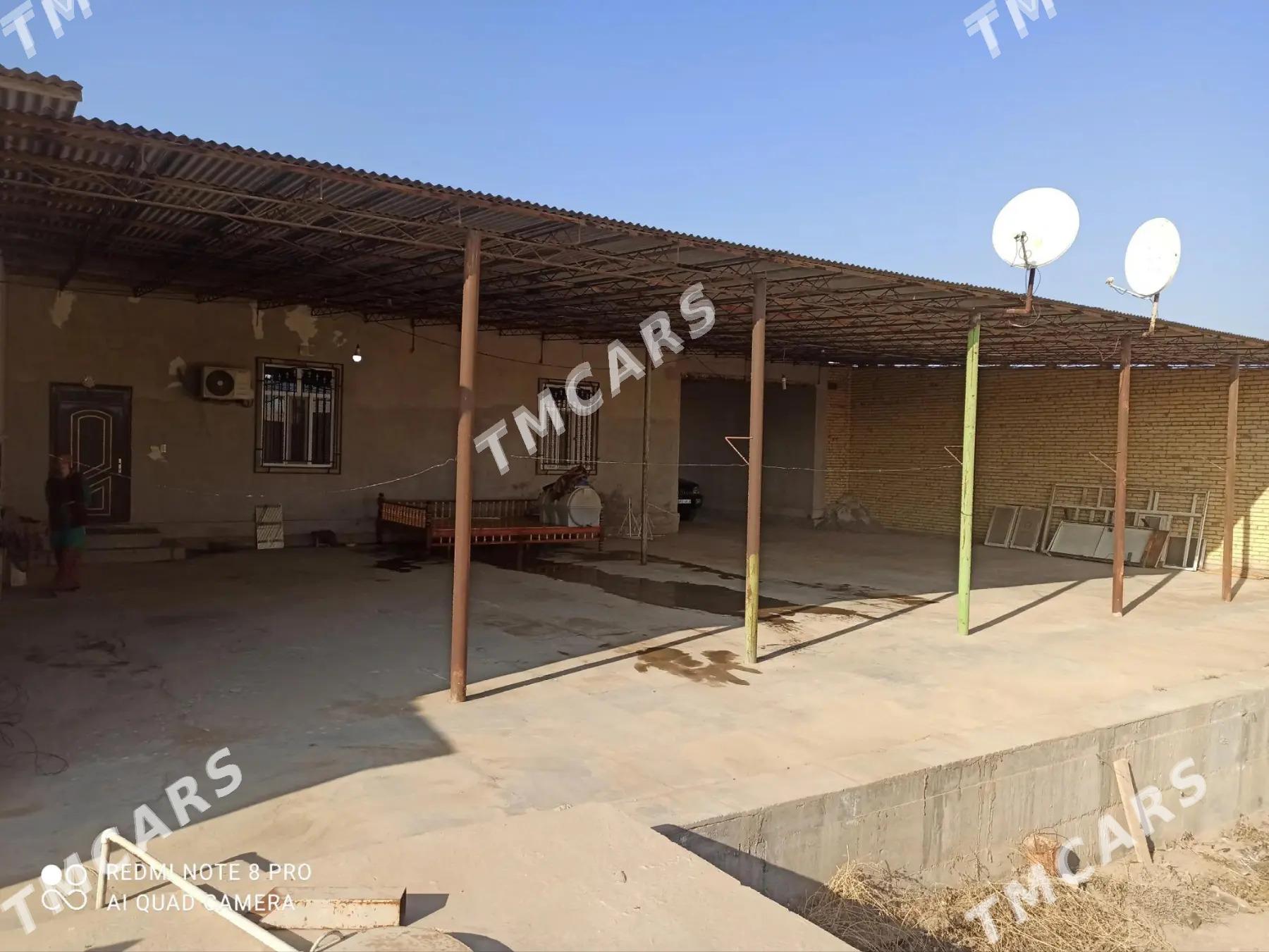 Satlyk jay - Sakar - img 4