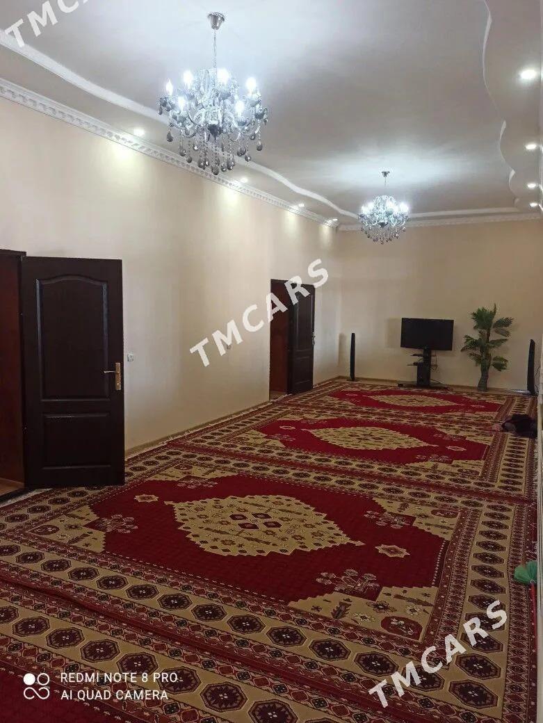 Satlyk jay - Sakar - img 6