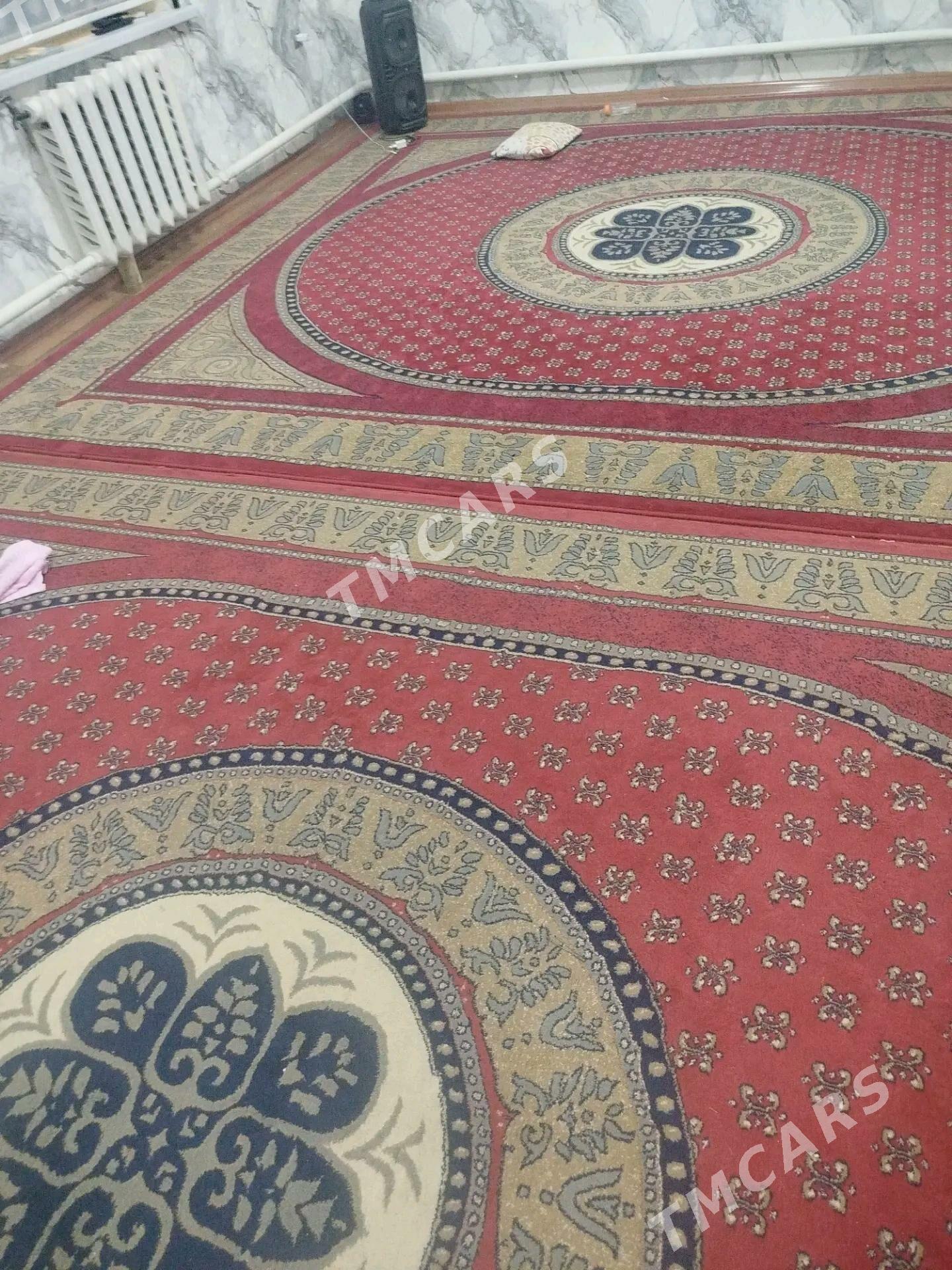 WİTİRİNE HALADYNYK ALYAN - Ашхабад - img 3