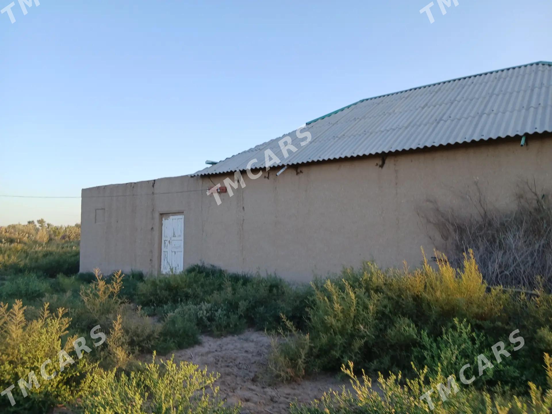 Emlak - Boldumsaz - img 2