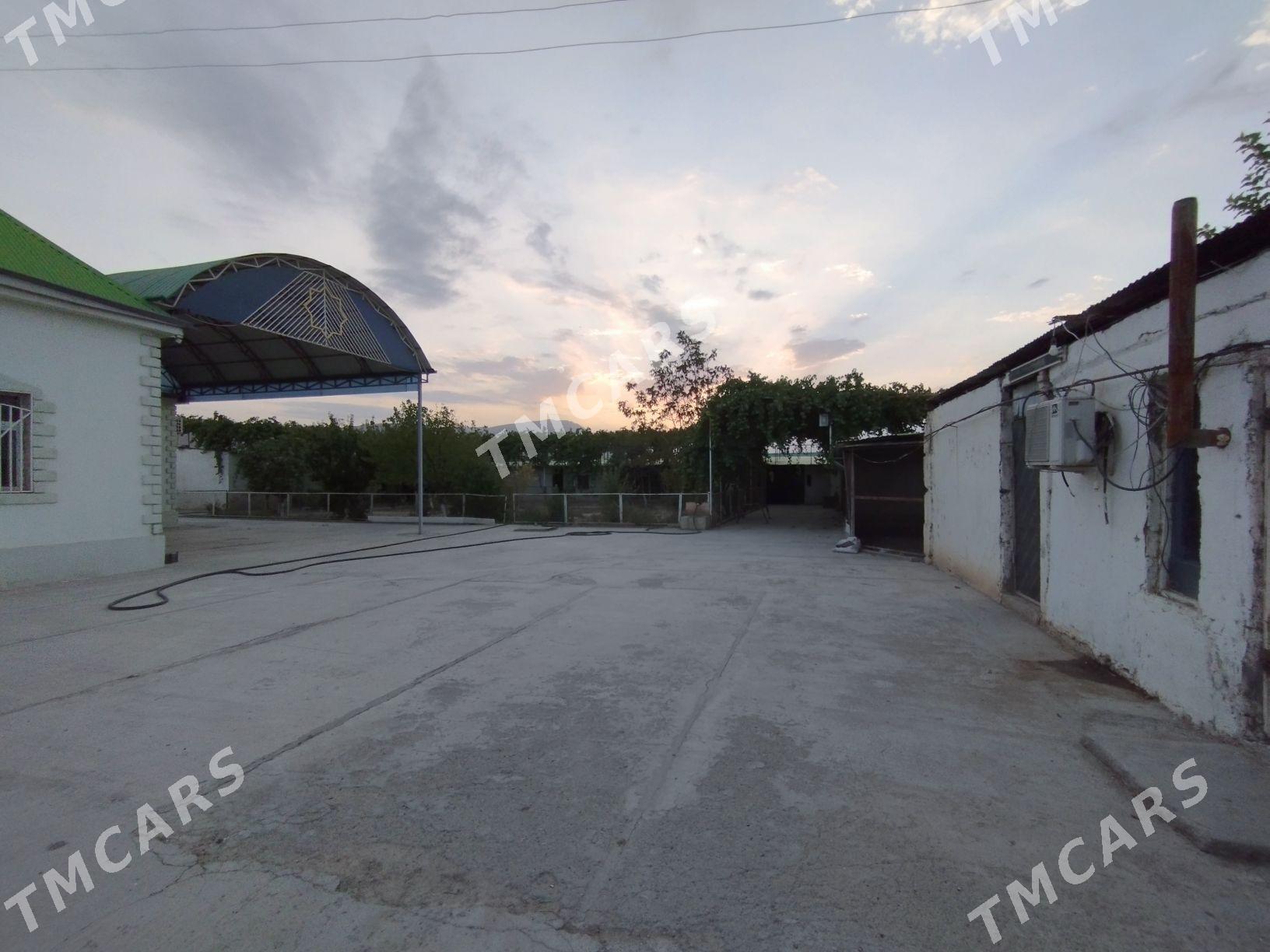Bagyr - Aşgabat - img 2