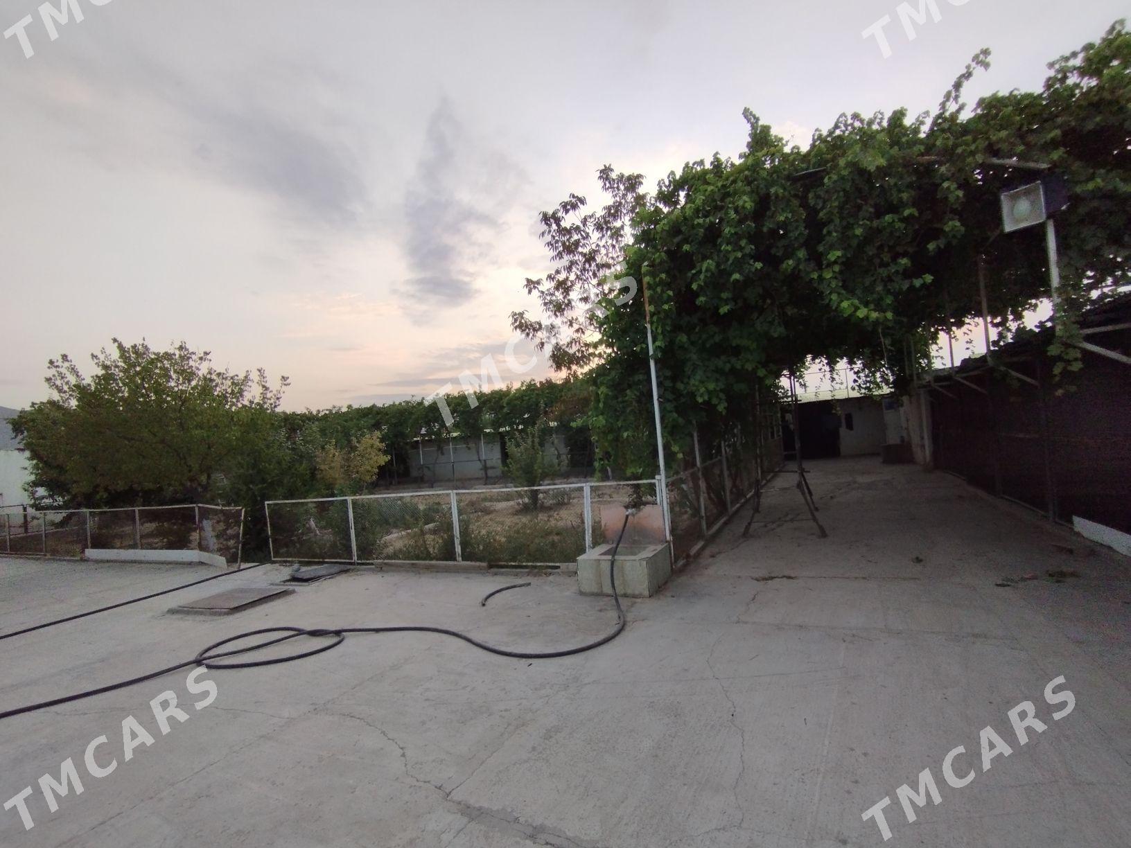 Bagyr - Aşgabat - img 3